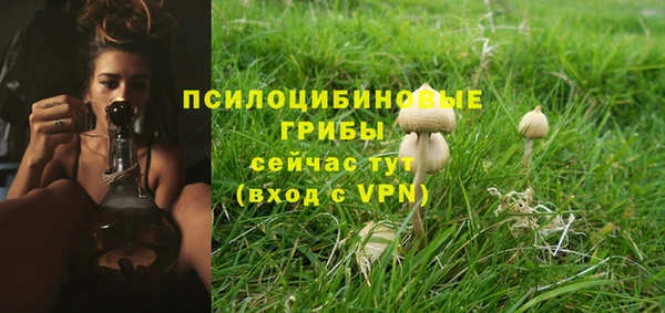 индика Армянск