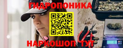 мяу мяу мука Гатчина